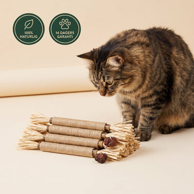 Cynta - silvervine sticks