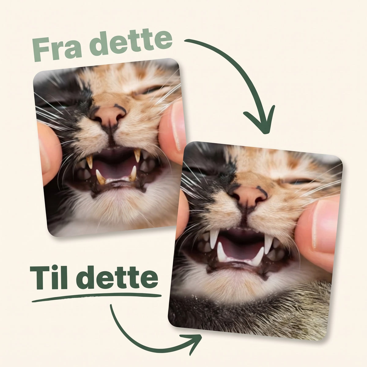Image with text