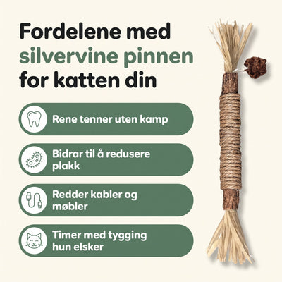 Cynta - silvervine sticks